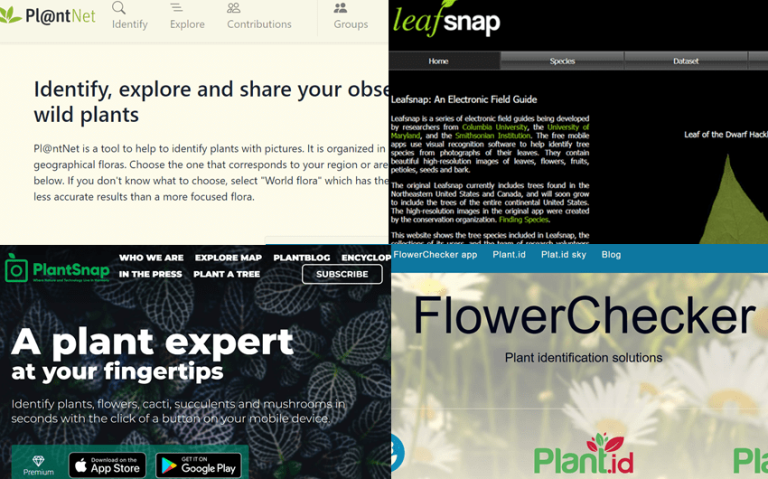 10 Free Plant Identifier Apps You Should Know About