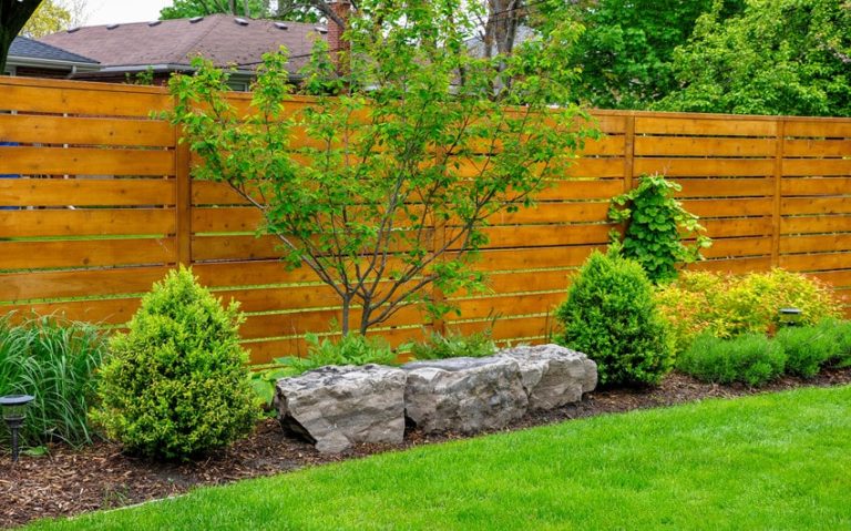 Comparing Eco-Friendly Fencing Options: Which Is Right for You?