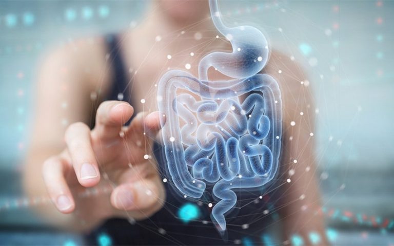 The Role of Probiotics in Balancing Gut Health